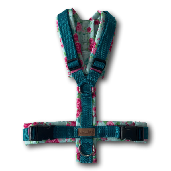 Y-Geschirr BT EasyWalk®