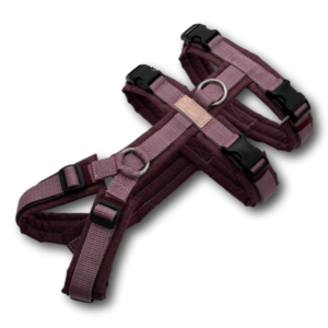 Sicherheitsgeschirr BT EasyWalk® Plus