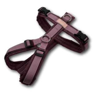 Y-Geschirr BT EasyWalk®