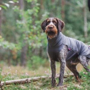 JumppaPomppa - der Fleecepulli | graphite