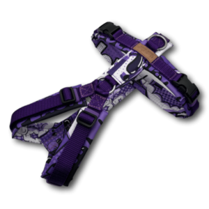 Y-Geschirr BT EasyWalk® Comic lila