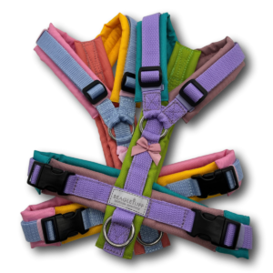 Y-Geschirr BT EasyWalk® Bunt