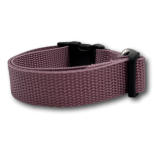 Beagle Welpenhalsband